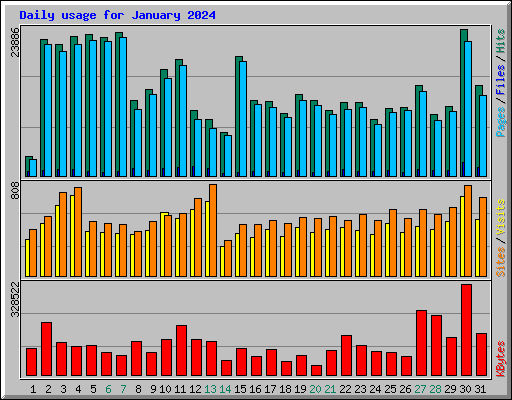 Daily usage for January 2024