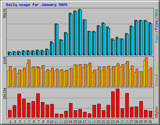 Daily usage for January 2025
