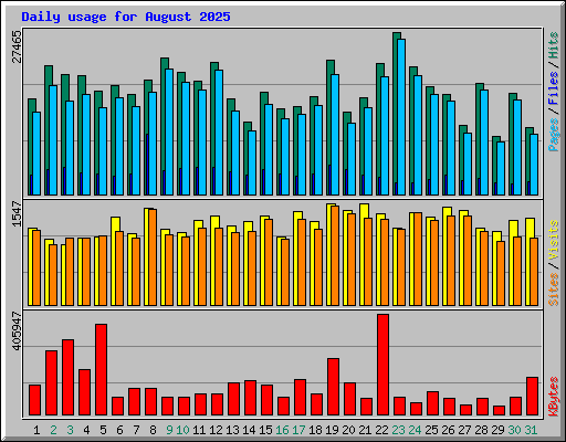 Daily usage for August 2025