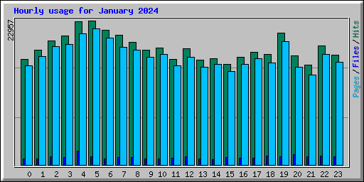 Hourly usage for January 2024