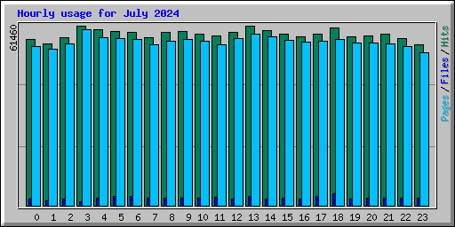 Hourly usage for July 2024