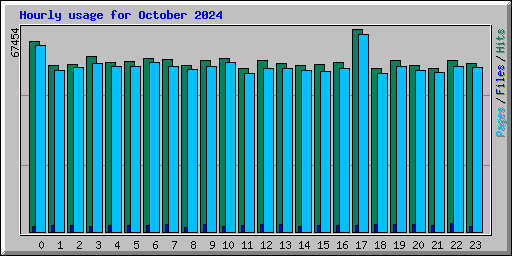 Hourly usage for October 2024