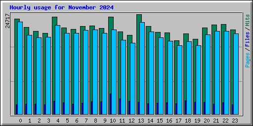 Hourly usage for November 2024