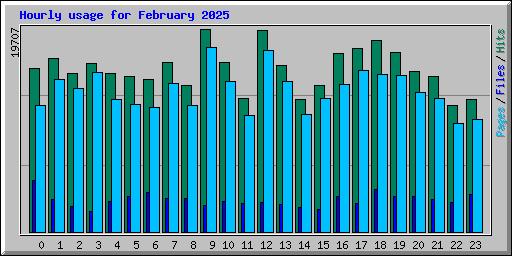 Hourly usage for February 2025