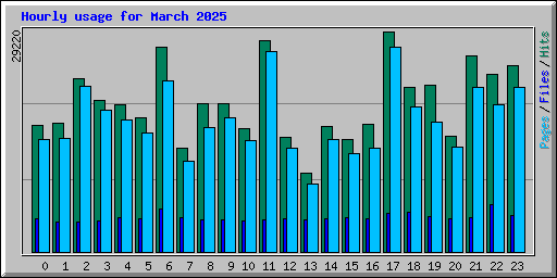 Hourly usage for March 2025