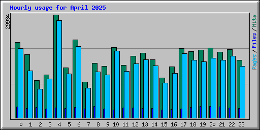 Hourly usage for April 2025