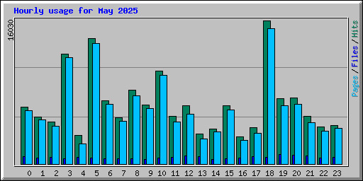 Hourly usage for May 2025