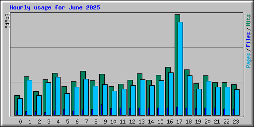 Hourly usage for June 2025
