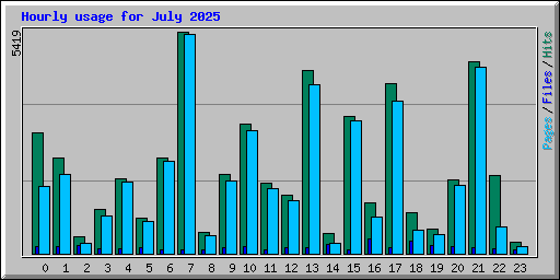 Hourly usage for July 2025