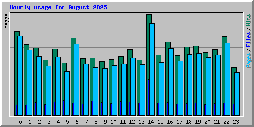 Hourly usage for August 2025
