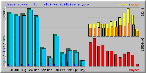 Usage summary for yalcinkayabilgisayar.com
